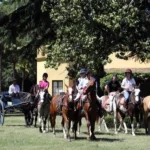 Misterplan Dia De Campo 150x150